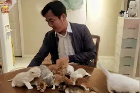有想和我做朋友的吗？#被迫营业的猫猫 #加油小奶猫视频封面