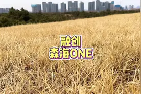 在融创森海one拥有一套可以看到海边日出的房子视频封面