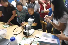 如何用显微镜观察一只雄性蝴蝶的生殖器官—自然科普视频封面