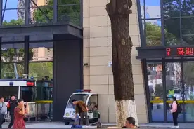 网友:一部分衡阳耒阳人来到郴州，是因为对郴州有一种情怀。 他们觉得郴州亲切，细心的郴州人会发现，在郴州市的各个菜市场或街道旁，到处活跃着衡阳人的身影。郴州人的心中都有一种南向思维，这跟郴州的地理位置有关，郴州和广东接近，坐高铁两个小时就到。所以大部分郴州人不仅选择去广东打工，做生意也想去广东。#衡阳 #耒阳 #郴州 @衡阳大汉鸿雁云府 @大汉城建 视频封面