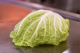 这就是鲁迅先生笔下的：龙舌兰！ 万物皆可铁板～熙炙燃铁板烧！视频封面
