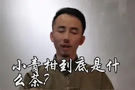 小青柑是什么茶？到底能不能喝？注意了！#小青柑 #新会小青柑视频封面