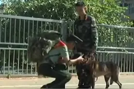 武警战士光荣退伍，军犬不舍一路狂追。视频封面