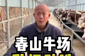 牛场就这么被拆了？#养牛 #西门塔尔 #养牛人 #农村养牛 #养牛场 #农村生活视频封面
