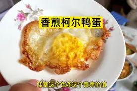 第一次尝柯尔鸭蛋，蛋黄超级大。一个字香！新的蛋准备继续孵化。视频封面