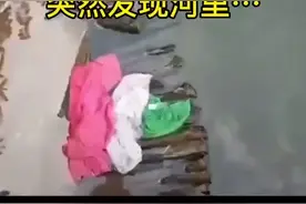 女子正在河边洗碗，突然发现河里……视频封面