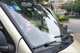 临牌也能扫，感觉学了一个新技能#羊肉哥 #车牌识别 #每一台都是新之所向视频封面