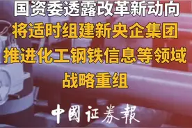 国资委透露改革新动向，将适时组建新央企集团，推进化工钢铁信息等领域战略重组视频封面