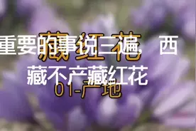 子宫肌瘤和乳腺癌，科学证明藏红花都能豫防，中医认为视频封面