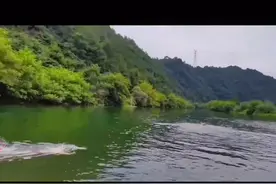 不管生活如何，明媚的阳光都会撒在你的脸上视频封面