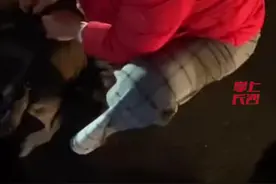 1月28日，湖南邵阳。春节返乡途中，长沙护士风雪夜跪地救人。视频封面
