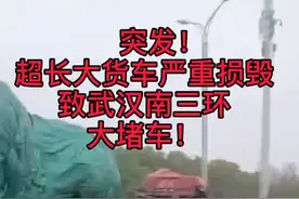 突发：武汉三环线大堵车！视频封面