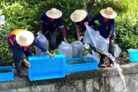 5万只河蚌，一天能过滤2500吨水！#河蚌 ：我只是平平无奇的治水小能手。#杭州 #环境  #河道治理 @抖音短视频视频封面