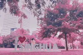 今天是清华版的校园变色 #必须把变色给秋天安排上 #校园视频封面