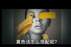 黄色的软装搭配#装修避坑指南 #软装搭配 #色彩搭配视频封面