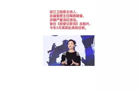 #浙江卫视 浙江卫视原主持人、总编室原主任陶燕被查，涉嫌严重违纪违法视频封面