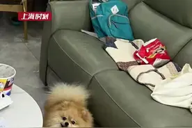 父母因疫情被封控在上海，13岁男孩独居66天，成功喂胖自己和宠物视频封面