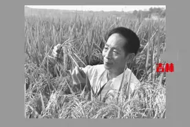 网友追忆袁隆平：袁老就像爷爷一样，常常关心你有没有吃饱……