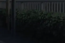 生肉番，纯手翻译#动漫推荐