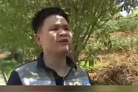 滴滴司机凌晨接到“幽灵”订单，地点偏僻且联系不上乘客，怀疑是有人故意恶作剧。视频封面