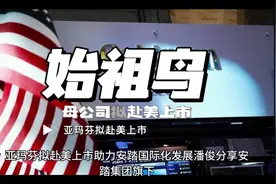 始祖鸟母公司亚玛芬拟赴美上市#安踏#始祖鸟#商品企划视频封面