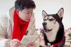 所以老婆的妹妹到底应该叫什么？ #宅家治愈记 #万物可爱计划视频封面