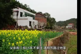 父亲和三叔15年不来往，清明节路过他家……#农村宅基地#兄弟视频封面