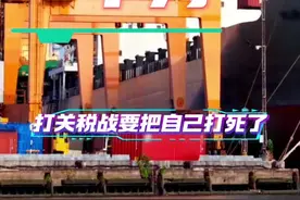 美国的关税战，杀敌一千，自损十万！#关税 #美国 #贸易战视频封面