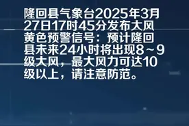 隆回县气象局发布大风黄色预警[Ⅲ级/较重]视频封面