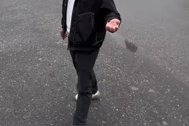 最近好消息有点多视频封面