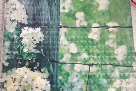 北美产英文诗歌朗诵欣赏。《June六月》Elizabeth Burningham《Untitled无题》Inez Briggs. Up to my heart in June again. Daft and drenched in its tune again.六月又一次漫上心头。再次沉醉于它的旋律，痴迷而沉沦。星期二250617，浦邑清心阁小筑