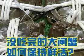 #没吃完的大闸蟹如何保持鲜活  #为什么死蟹不能吃  螃蟹死亡后，体内的细菌开始分解螃蟹体内的组织，此时螃蟹的血液会失去氧气，使得细菌、细胞自由基在无氧环境下大量繁殖，容易滋生大肠杆菌、沙门菌等致病菌，食用后使人出现腹痛、恶心等症状。那么，没吃完的大闸蟹该如何保持鲜活呢？#谈谈常知道视频封面