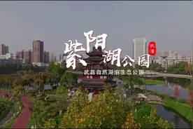 武汉紫阳阁，古色古香，藏在市中心的江南园林。#摄影视频封面