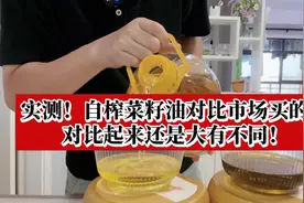 自榨菜籽油对比市场买的油，细细看还是大有不同！#食用油视频封面