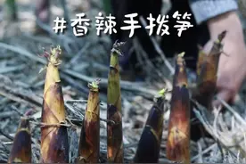这样做的手剥笋，我可以一口一个，直接梭哈！！！#春天当然要吃春笋 #乡野春日美食整活大赏 #尝一口春天的味道 #乡野春日地图 #新农人计划2025 @抖音短视频