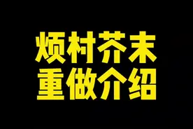 芥末重做完了，这波重做细节到位了吧！#我的世界 #烦人的村民 #我的世界模组