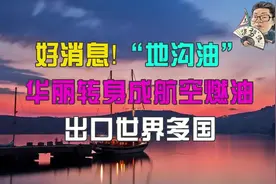 花千芳：好消息！“地沟油”华丽转身成航空燃油，出口世界多国视频封面