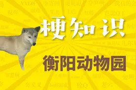 "《衡阳动物园》是什么梗？"#万恶之源 #梗 #衡阳动物园视频封面