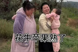 花牛苹果马上上市了，带小万万摘苹果把他开心的呀。不过今天真冷，一秒入冬的感觉#花牛苹果 #花牛苹果成熟了