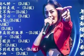 2025年最爆的DJ歌曲 Di Remix 精選歌曲 全中文舞曲 夜店混音