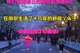 你们知道现在的金陵城有多美吗？#南京旅游 #南京律师 #夫子庙旅游 #南京市文旅局 #玄武湖视频封面