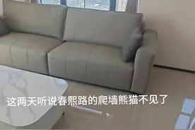 最近听说春熙路的熊猫不见了❓ 我已经帮大家看过了还在🤣#成都 #春熙路 #成都同城 #成都欢迎你 #跟着抖音耍成都视频封面