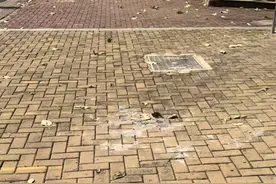 长大之后你会发现，某天突然顿悟的一个道理，其实早就写在了当年的课本里#麦里麦气 #童年终结者视频封面