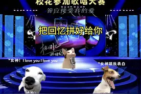 我们之间的回忆，全部都小心的收集#猫meme #校园#听歌 #原创视频