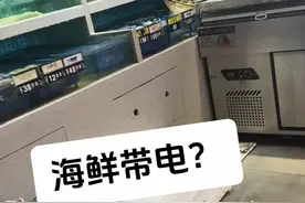 厨师被电了，饭店的海鲜水中带电，什么原因？#真实案例 #安全用电 #技术分享视频封面