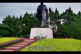 深圳是改革开放包容的移民城市，更是一个风景优美视频封面