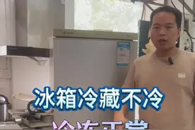 冰箱冷藏不冷冷冻又正常，怎么回事？不担心，小问题！ #技术分享 #生活小妙招 #家电维修 #冰箱不制冷视频封面