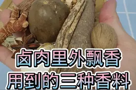 #卤肉熟食 #餐饮创业 #香料搭配 #美食 #餐饮 @老陈，香料配料 @张洋，香料配料视频封面