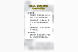 有准吗？#长清六点半视频封面
