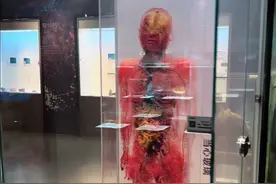大体老师 被大体老师震撼到了#人体结构 #人体奥秘 #博物馆视频封面